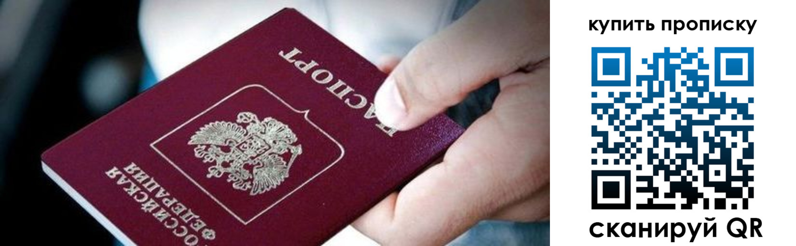 прописка поиск в Торжоке